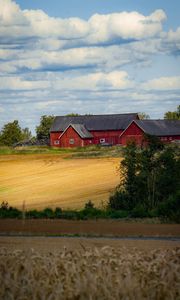 Charming view of a red barn amidst golden fields in Jönköpings län, Sweden.